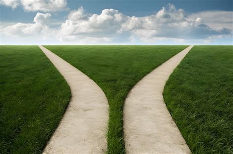 The Diverging Paths: A Symbolic Representation of Life Choices